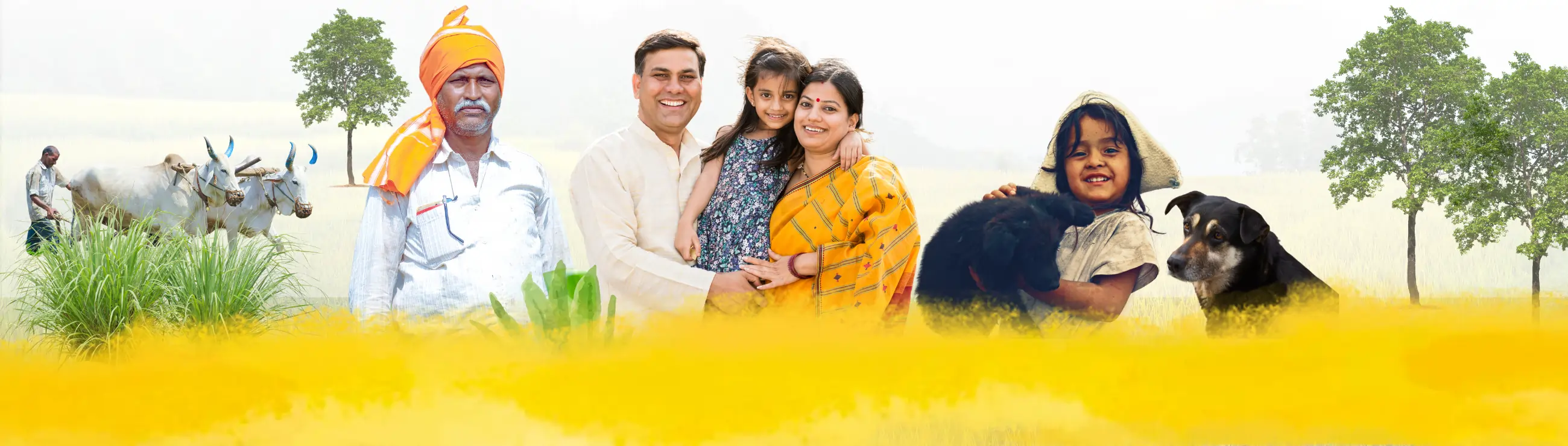 Home banner image 3